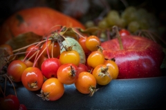 Klausen - Südtirol / Orange / Herbst (c) Detlef Buxmann