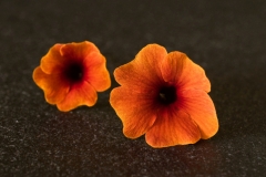 Orange / Susanne / Küche / Steinplatte (c) Detlef Buxmann