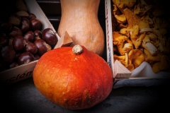 Klausen - Südtirol / Orange / Herbst (c) Detlef Buxmann