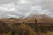 Denali_NP