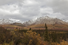 Denali_NP