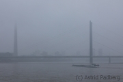 Am Rhein
