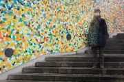 Treppe zum Rhein