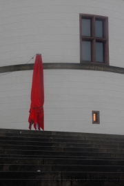 Rot