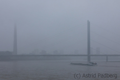 Am Rhein