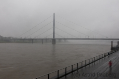 Am Rhein