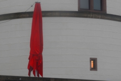 Rot