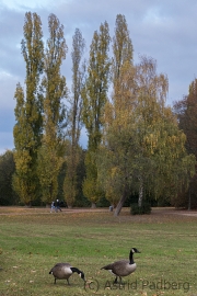 Düsseldorf Südpark im Herbst