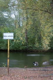 Düsseldorf Südpark im Herbst