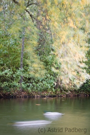 Düsseldorf Südpark im Herbst