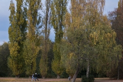 Düsseldorf Südpark im Herbst
