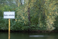 Düsseldorf Südpark im Herbst