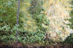 Düsseldorf Südpark im Herbst
