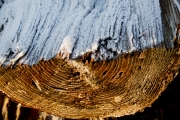 Eingefroren