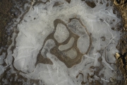 Eingefroren