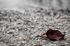 Erde (c) Detlef Buxmann