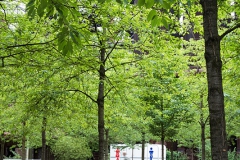 Extraschicht 2017, The Day After