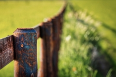 Fluchtpunkt (c) Detlef Buxmann