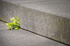 Fluchtpunkt (c) Detlef Buxmann