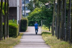 Fluchtpunkt (c) Detlef Buxmann