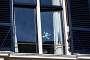 Froschperspektive (c) Caroline Henkes