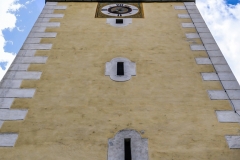 Froschperspektive (c) Detlef Buxmann