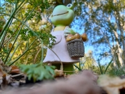 4-Froschperspektive-klein_web