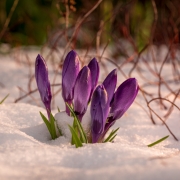 (c) Andreas Otto