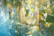 (c) Georg Bein