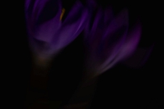 (c) Hans Peter Eckstein