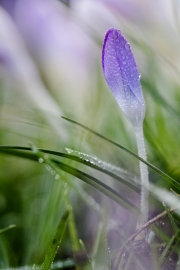 (c) Ina Herzig