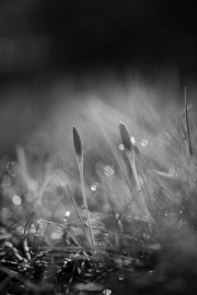 (c) Ina Herzig