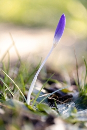 (c) Ina Herzig