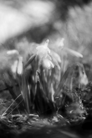 (c) Ina Herzig