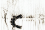 020_„C"  (c) Hans Georg Bein
