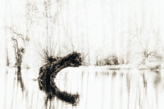 020_„C"  (c) Hans Georg Bein