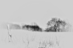 022_Winterwunderland  (c) Hans Georg Bein