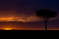 027_Savanne-bei-Sonnenaufgang (c) Hans Peter Eckstein