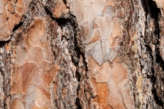 035_Das Leben (c) Ina Herzig