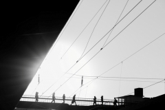 Gegenlicht (c) Astrid Padberg