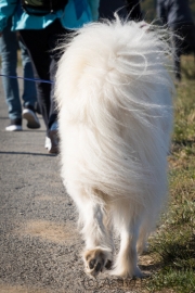 Weg zur Geierlaybrücke