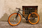 orange (c) Hans Georg Bein