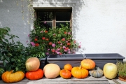 orange (c) Hans Georg Bein