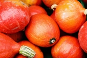 orange (c) Hans Georg Bein