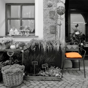 orange (c) Hans Georg Bein