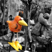 orange (c) Hans Georg Bein