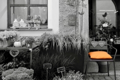 orange (c) Hans Georg Bein