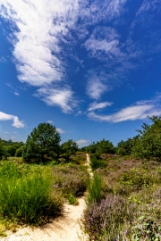 Wahner Heide (c) Gerd Baumann