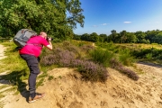 Wahner Heide (c) Gerd Baumann