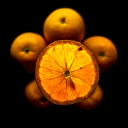 Die leuchtende Orange (c) Gerd Baumann